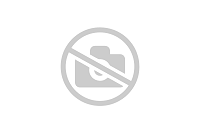 Фильтр газовый ФГ 16-100 с ДПД